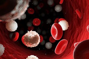 Link to page: Computer-aided cell analysis for faster diagnosis of blood diseases