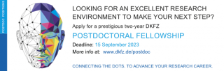 Link to page: Apply now for a Postdoctoral Fellowship at the DKFZ!