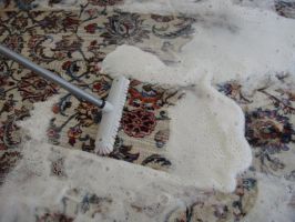 bodenreinigung mannheim Bio Teppichreinigung und Teppichreparatur Arman