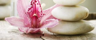 billige spas mannheim Suchada Thaimassage, Wellness & Spa