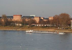 schwimmkurse fur kinder mannheim DLRG Mannheim