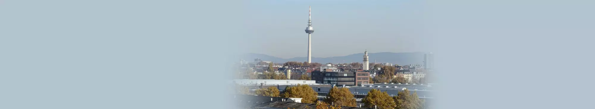 spezialisten fur vaskulitis mannheim Diakoniekrankenhaus Mannheim GmbH Abteilung für Innere Medizin I (Angiologie, Kardiologie)