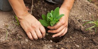 stellenangebote apothekentechniker mannheim BIOTOPIA Arbeitsförderungsbetriebe Mannheim gGmbH