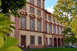 steuerbehorden mannheim Abteilung Rechtswissenschaft, Universität Mannheim