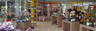 shops zum kauf von outdoor pflanzen mannheim Kull H.-P. u. A. Gärtnerei