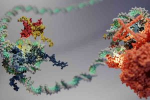 drug test mannheim EMBL Heidelberg