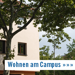 studienorte im freien mannheim Alanus Hochschule Institut für Waldorfpädagogik, Inklusion und Interkulturalität