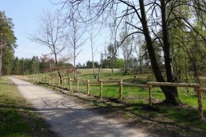 picknickplatze mit kindern mannheim Wildgehege Rheinauer Wald