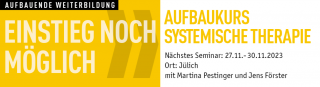 systemische kurse mannheim IF Weinheim Institut für systemische Ausbildung und Entwicklung