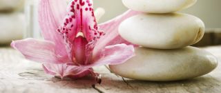 thai massage mannheim Suchada Thaimassage, Wellness & Spa