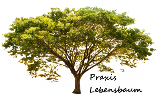 reflexologie kurse mannheim Praxis Lebensbaum