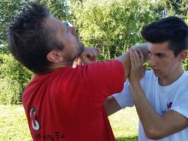 ninjutsu klassen mannheim Wing Tsun Schule Lampertheim