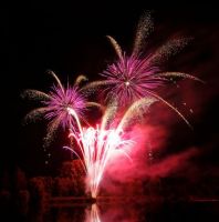 feuerwerk geschafte mannheim Hofacker Feuerwerk e.K.