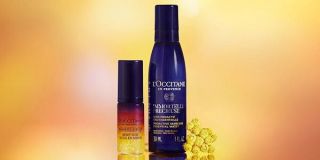 christmas gifts for companies in mannheim L'OCCITANE EN PROVENCE