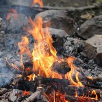 Lagerfeuer im Wald mit brennenden Stöckern und einer lodernden Flamme