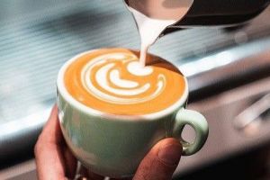 barista kurse mannheim Helder & Leeuwen - Rösterei