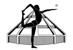schwangere yoga kurse mannheim Yoga Elke Werner