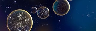 urin analyse mannheim Universitätsklinikum Mannheim, Institut für Klinische Chemie